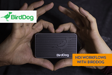 NDI-Workflows mit BirdDog