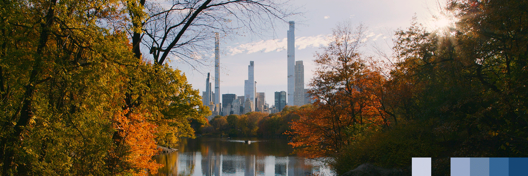 Calm in the Hustle and Bustle - 