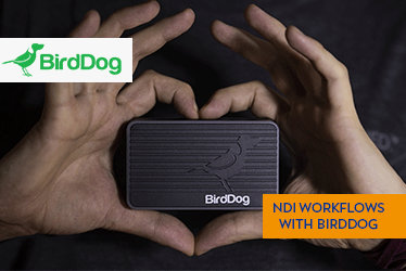NDI Workflows with BirdDog