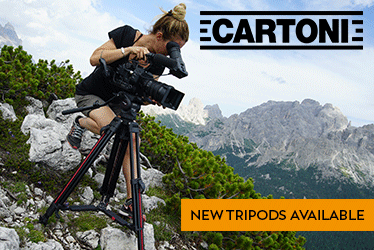 Cartoni Camera Support