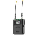 Deity THEOS Digital Wireless 2ch Kit (Global