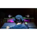 Sequoia (DAW) Perpetual (includes 1 year upgrade &...