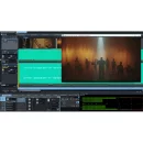 Sequoia (DAW) Annual Subscription