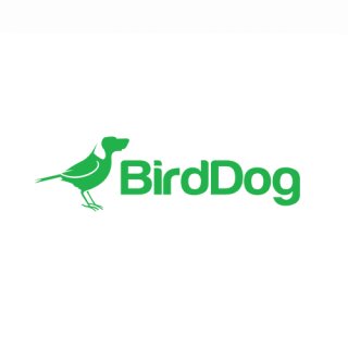 BirdDog O4 - Pole Mount (Grey)