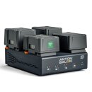 Dionic 26V LP4 Gold Mount Plus Charger