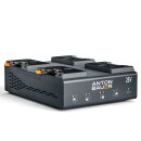 Dionic 26V LP4 Gold Mount Plus Charger