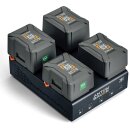 Dionic 26V LP4 Gold Mount Plus Charger