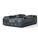 Dionic 26V LP4 Gold Mount Plus Charger