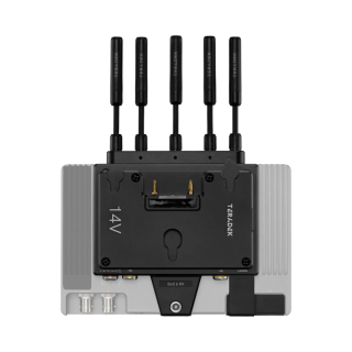 Bolt 6 Monitor Module 750 RX Gold Mount